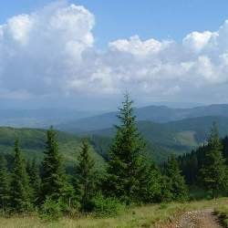 В Карпатах потерялся молодой парень из Киева 