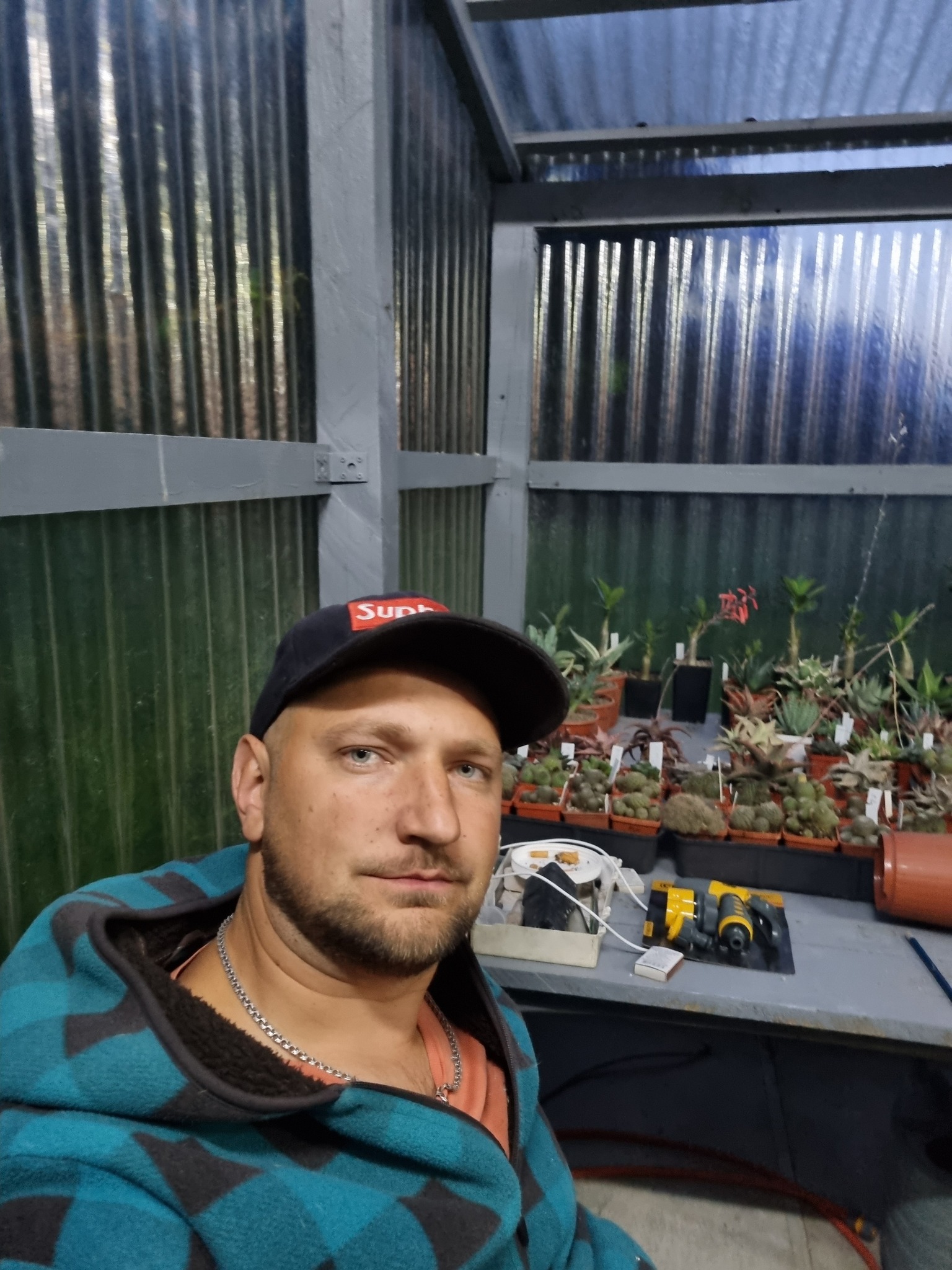 Помещение, где зимой находятся кактусы, не отапливается, - накладно. Фото: facebook.com/sergij.gruzins.kij