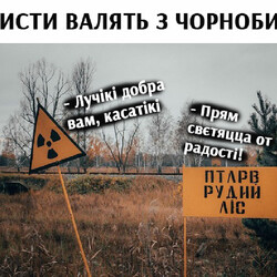 Фото: социальные сети