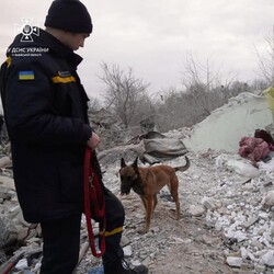 На місці трагедії працювали рятувальники та кінологи. Фото: ГУ ДСНС у Львівській області