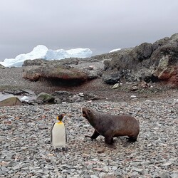 Фото: facebook.com/AntarcticCenter