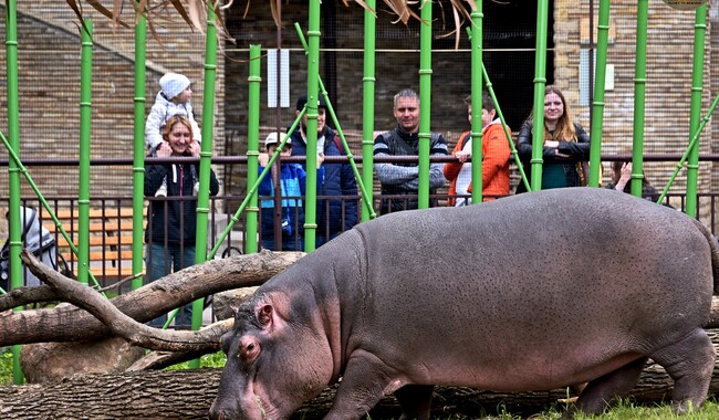 Фото: zoo.kiev.ua