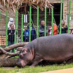 Фото: zoo.kiev.ua