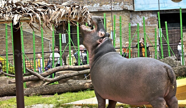 Фото: zoo.kiev.ua