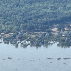 Село Кринки. Фото: NAVKA/KP.UA