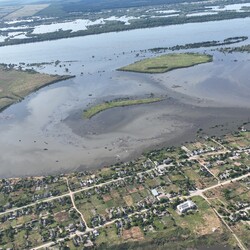 Село Кринки. Фото: NAVKA/KP.UA