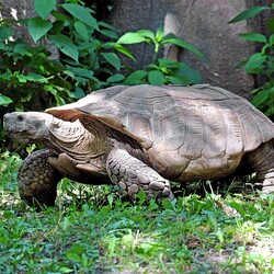 Фото: zoo.kyiv.ua