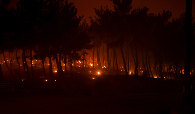 Фото: АПЕ-МПЕ