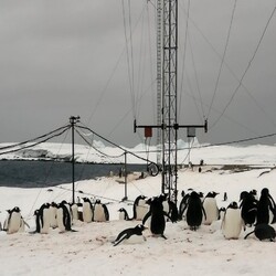 Фото: facebook.com/AntarcticCenter