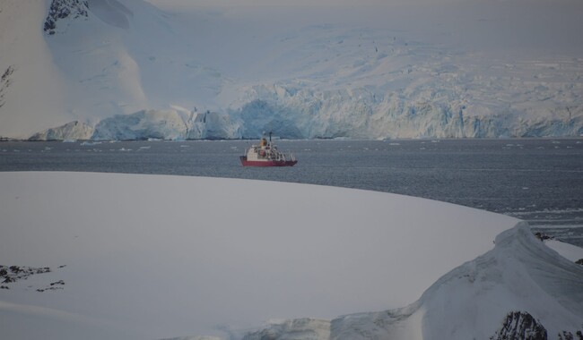 Фото: facebook.com/AntarcticCenter