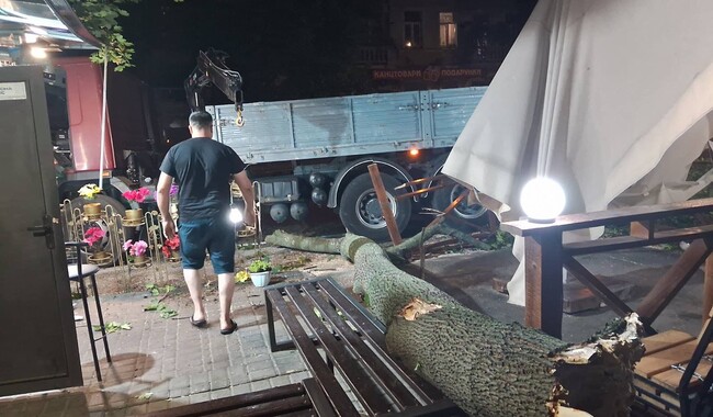 Фото: Комунальне підприємство Міськзелентрест

