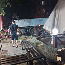 Фото: Комунальне підприємство Міськзелентрест
