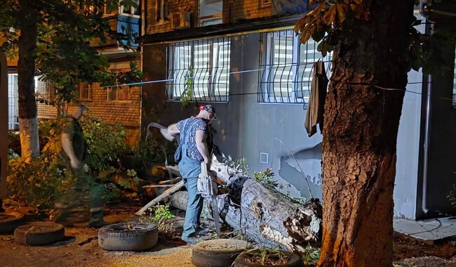 Фото: Комунальне підприємство Міськзелентрест
