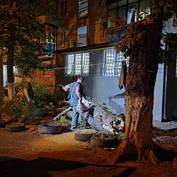 Фото: Комунальне підприємство Міськзелентрест
