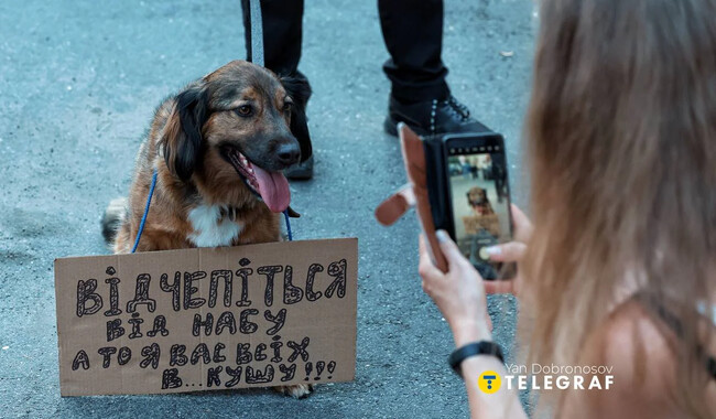 Фото: Рубрика, Getty Image, Telegraf, соцмережі