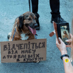 Фото: Рубрика, Getty Image, Telegraf, соцмережі
