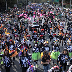  Фото: CARL DE SOUZA/AFP via Getty Images