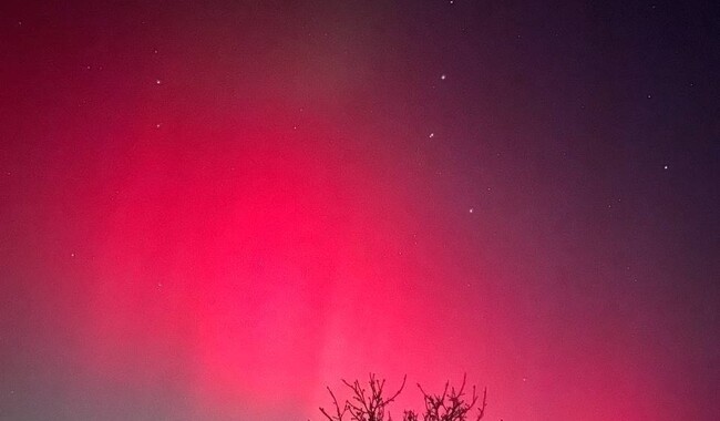 Полярное сияние над Украиной. Фото:  t.me/insiderUKR